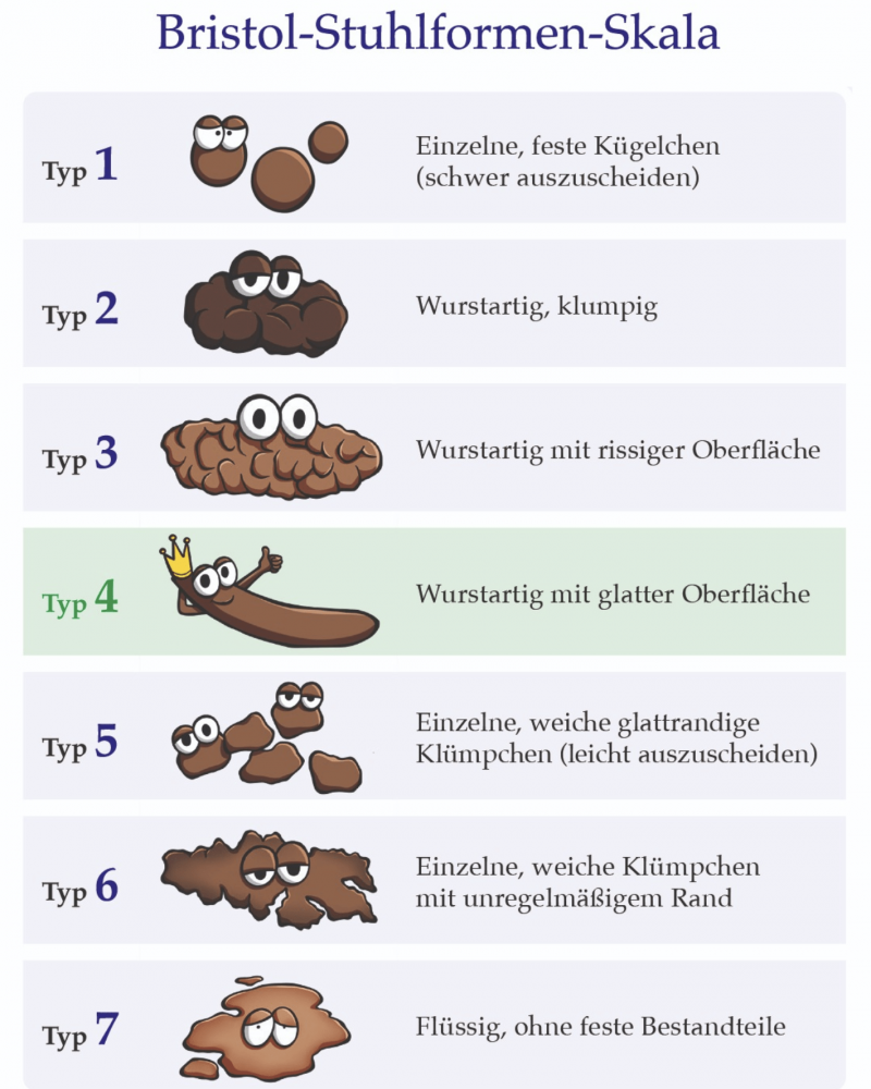 Wie sollte ein gesunder Stuhlgang auschauen
